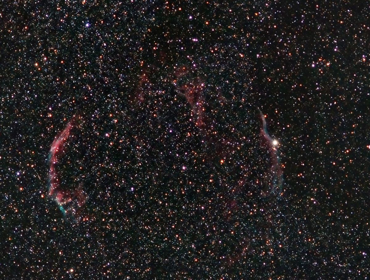 Widefield Sturmvogel